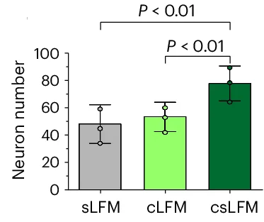 Open access visualization of Bar Plot, Error Bars, Neuron Number, sLFM, cLFM
