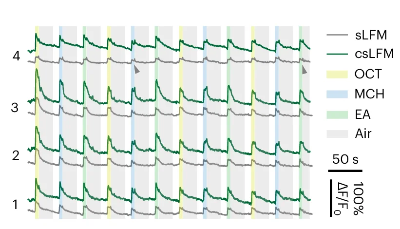 Open access visualization of Line Plot, Temporal Traces, Odor Stimuli, Spikes, sLFM