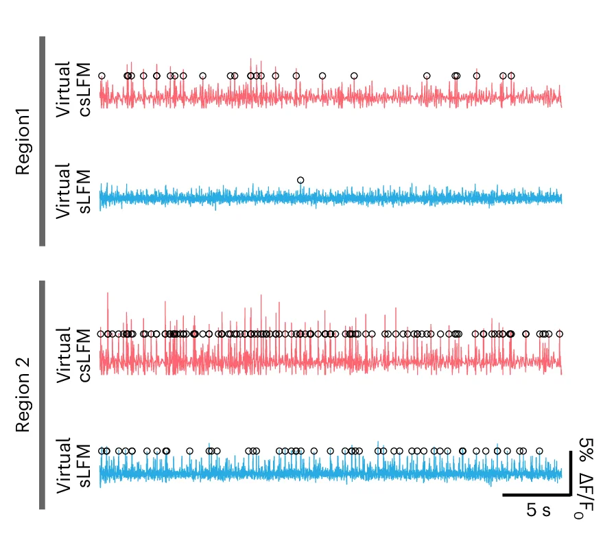 Open access visualization of Line Plot, Temporal Traces, Spikes