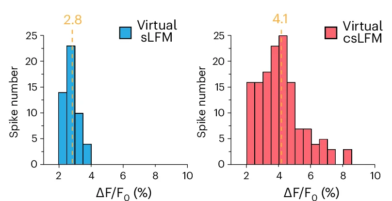 Open access visualization of Histogram, Spike Amplitude, sLFM, csLFM, MIP