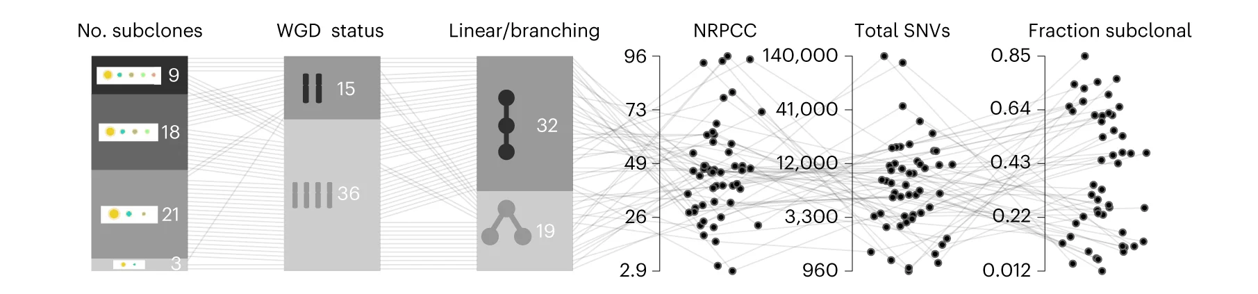 Open access visualization of Scatter Plot, Bar Plot, Network, Simulation, Tumors