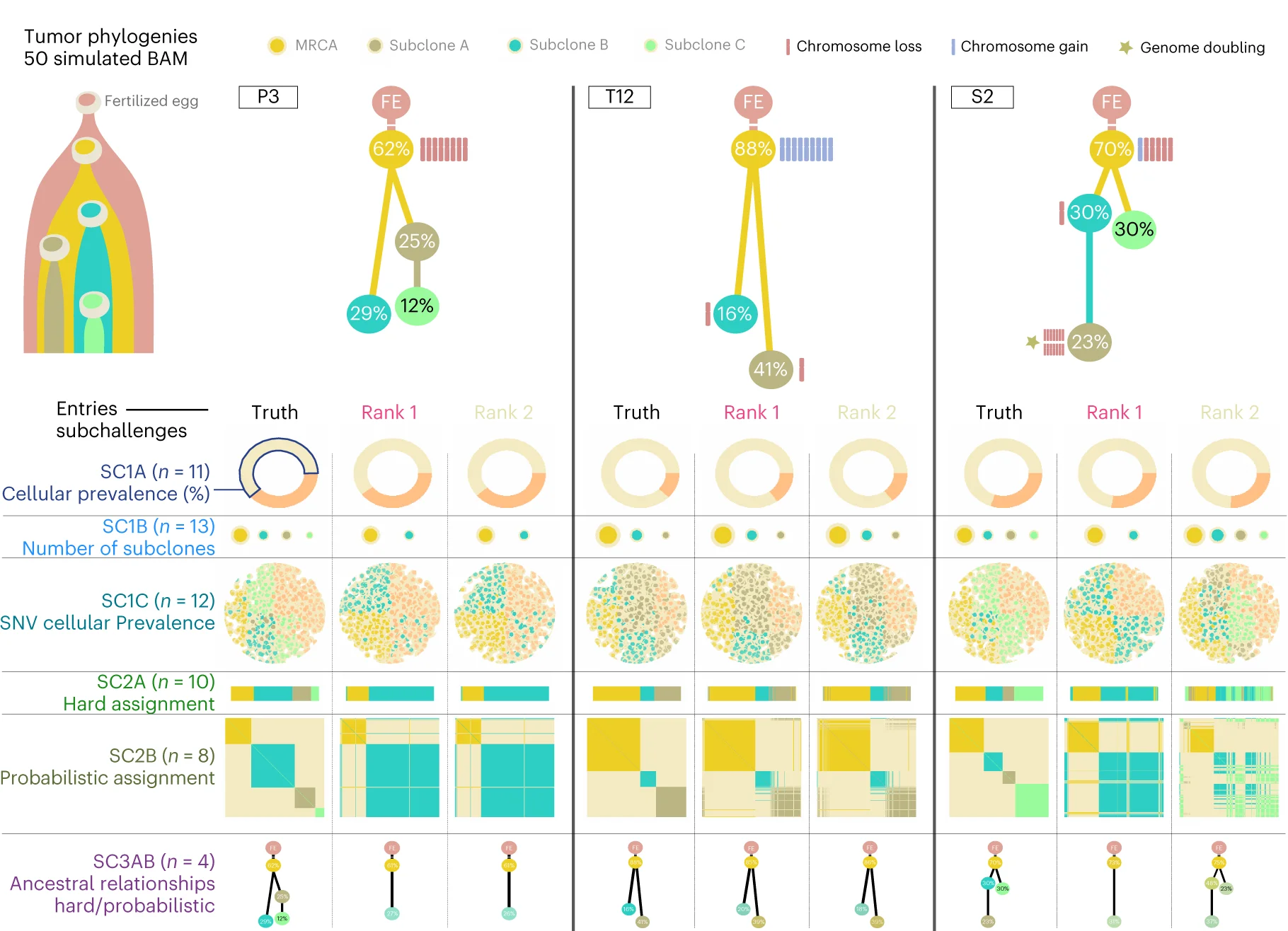 Open access visualization of Network, Pie Chart, Bar Plot, Scatter Plot, Tree Topologies