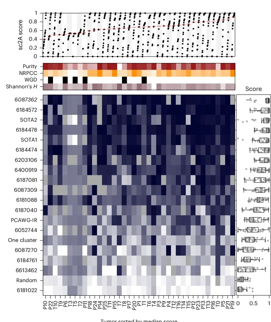 Open access visualization of Heatmap, Line Plot, Scatter Plot, Box Plot, Algorithm Scores