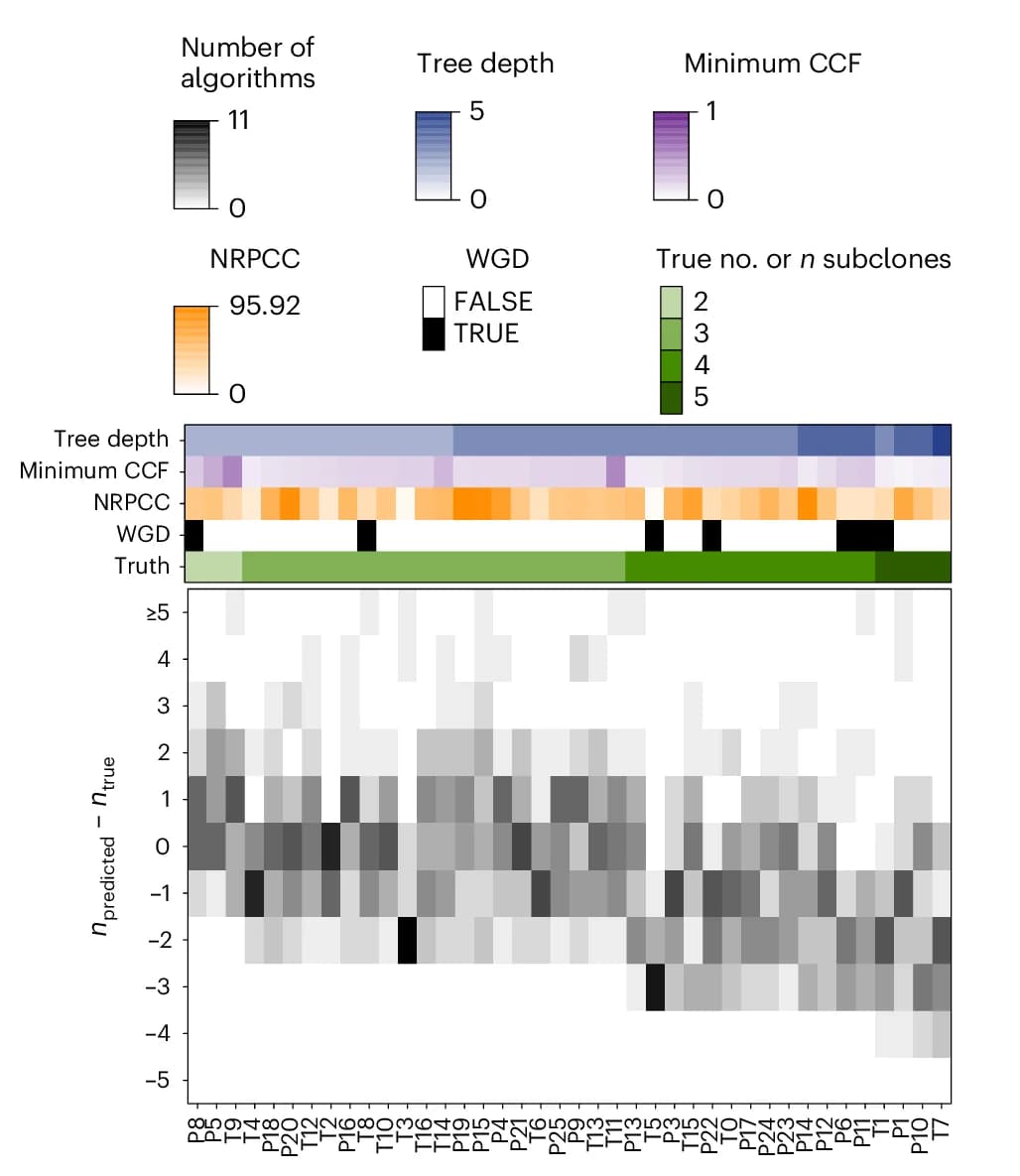 Open access visualization of Heatmap, Subclone Number, Tumor, Estimation Error, Algorithms
