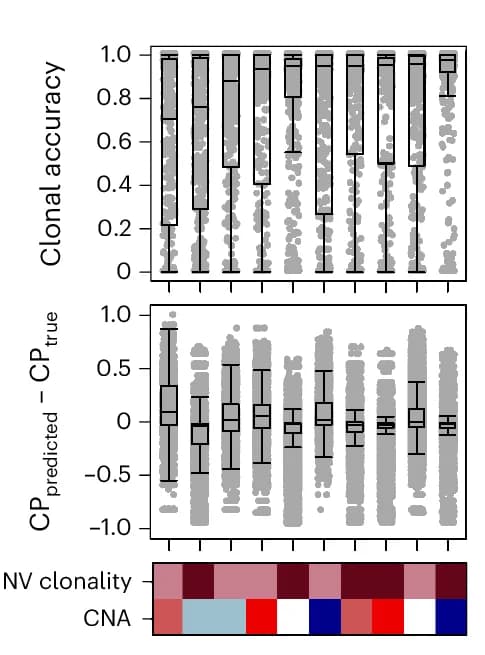 Open access visualization of Box Plot, Scatter Plot, Heatmap, Clonal Accuracy, Algorithm