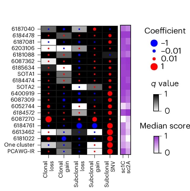 Open access visualization of Heatmap, Bubble Plot, Effect Size, False Discovery Rate, P Values