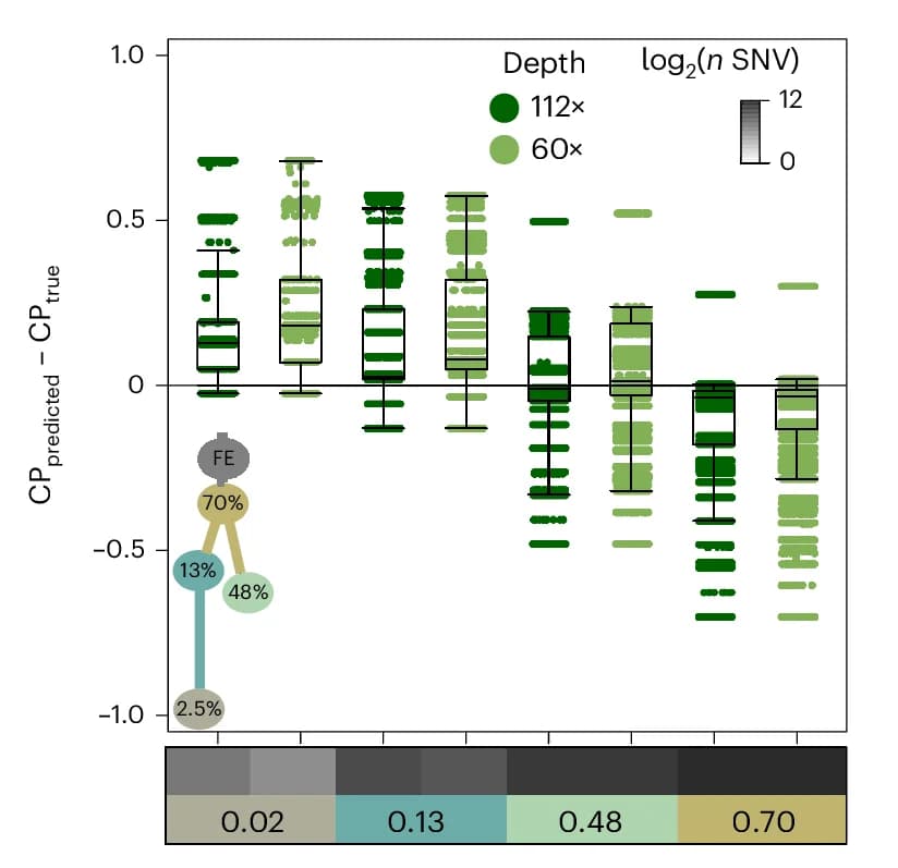 Open access visualization of Box Plot, Scatter Plot, Network, SNV CP Error, Subclone