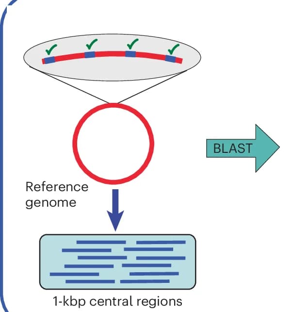 Open access visualization of Workflow, Flowchart, Illustration, Reference Genome, Fragmentation