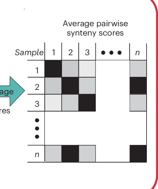 Open access visualization of Heatmap, Samples, Genomes, Synteny Scores, APSS