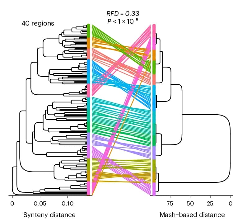Open access visualization of Network, Sankey, Phylogenetic Trees, E. coli, Genomes