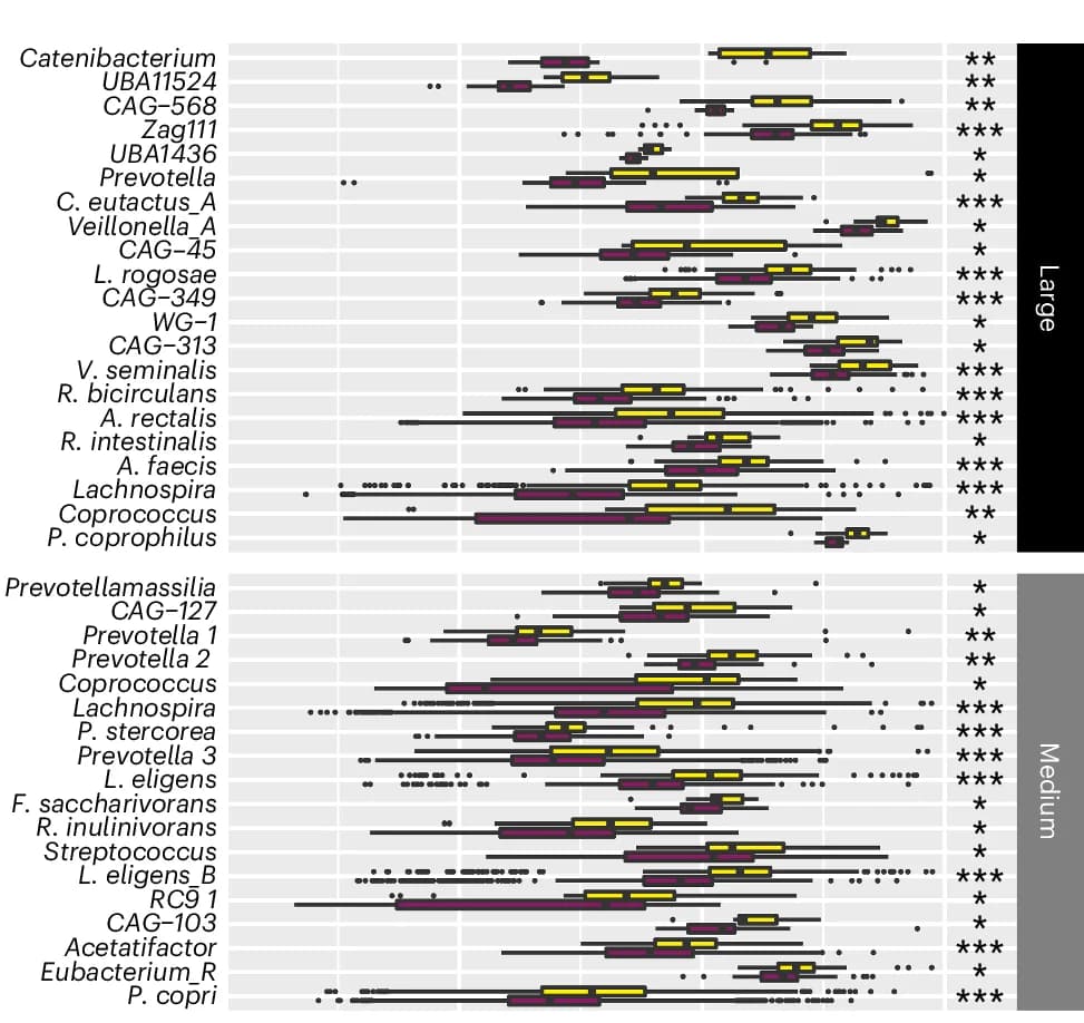 Open access visualization of Box Plot, Strain Similarities, Gut Microbiomes, Individuals, Provinces
