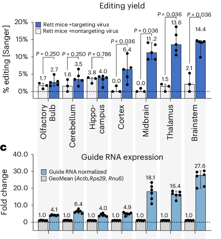 Open access visualization of Bar Plot, Error Bars, Clustered, Brain Regions, AAV-PHP.eB