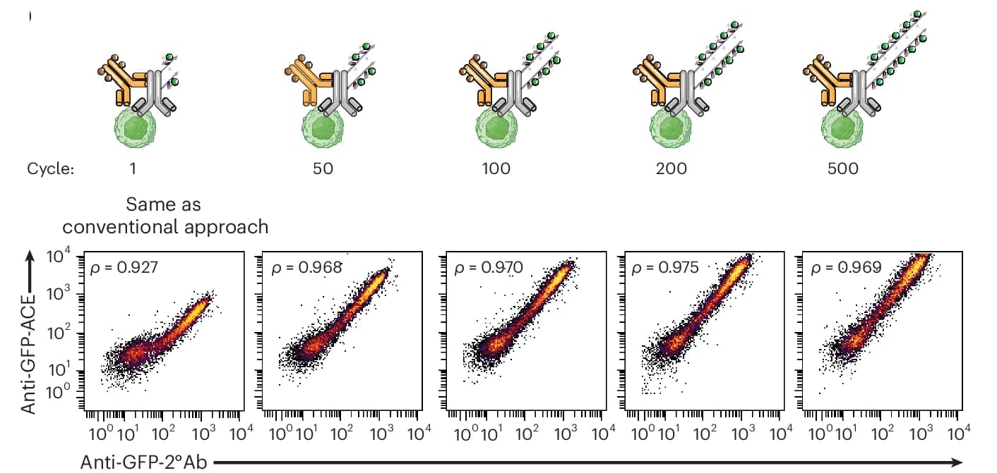 Open access visualization of Scatter Plot, Signal Amplification, ACE, Thermal Cycles, Secondary Antibody