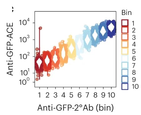 Open access visualization of Violin Plot, Scatter Plot, Data Analysis, GFP Expression, Secondary Antibody