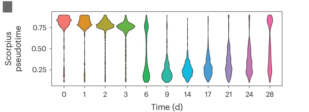 Open access visualization of Violin Plot, Pseudotime Analysis, Scorpius, Posttreatment Time