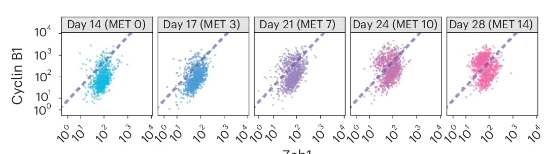 Open access visualization of Scatter Plot, Regression Plot, Biaxial Plots, Zeb1, Cyclin B1