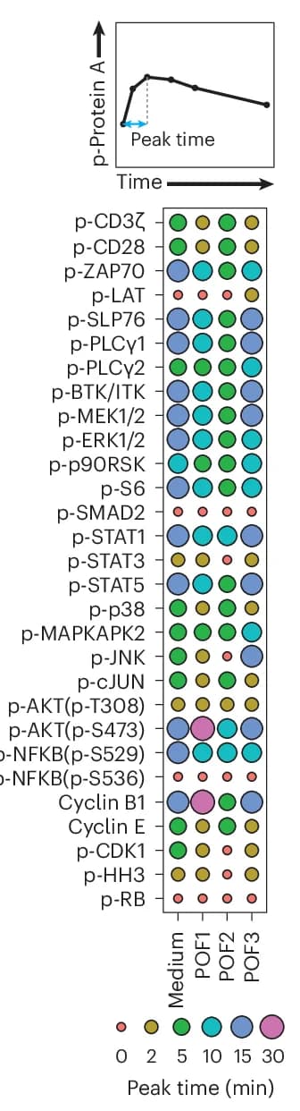 Open access visualization of Scatter Plot, Line Plot, TCR Stimulation, POF, Medium Control