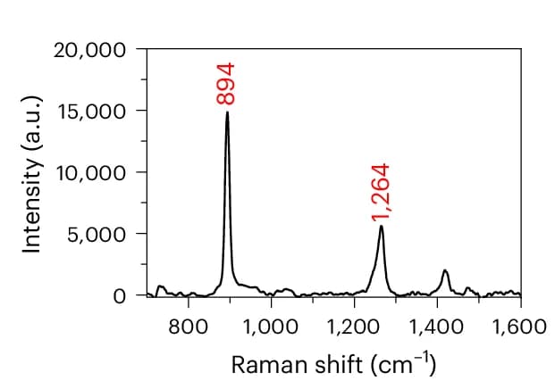 Open access visualization of Line Plot, Raman Spectrum, Compound 21, Solid State