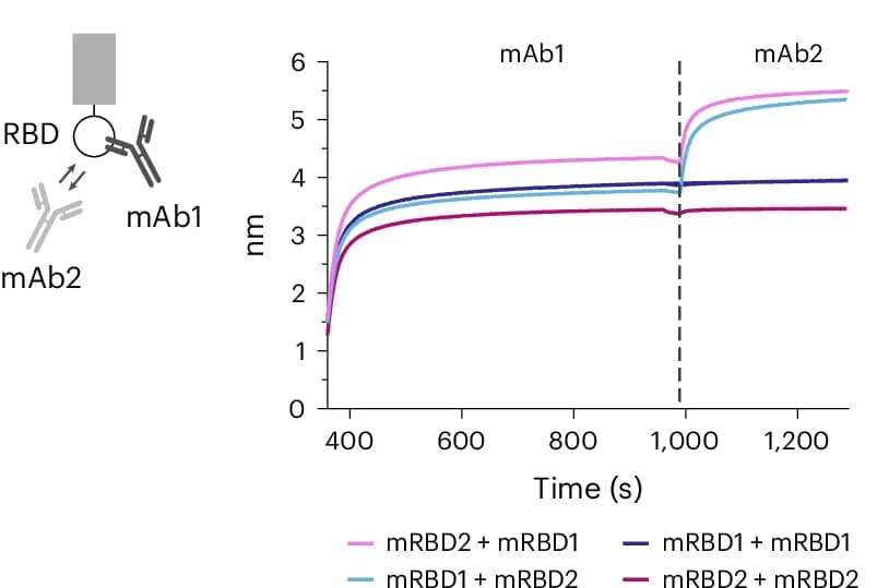 Open access visualization of Line Plot, Epitope Binning, mRBD1, mRBD2
