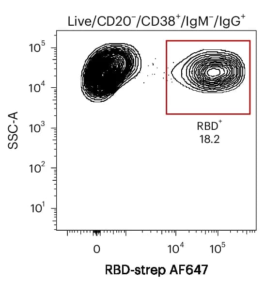 Open access visualization of Scatter Plot, RBD, ASCs, IgG, Hydrogel Beads