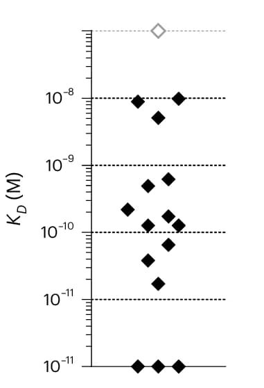 Open access visualization of Scatter Plot, Affinities, Antibody, RBD