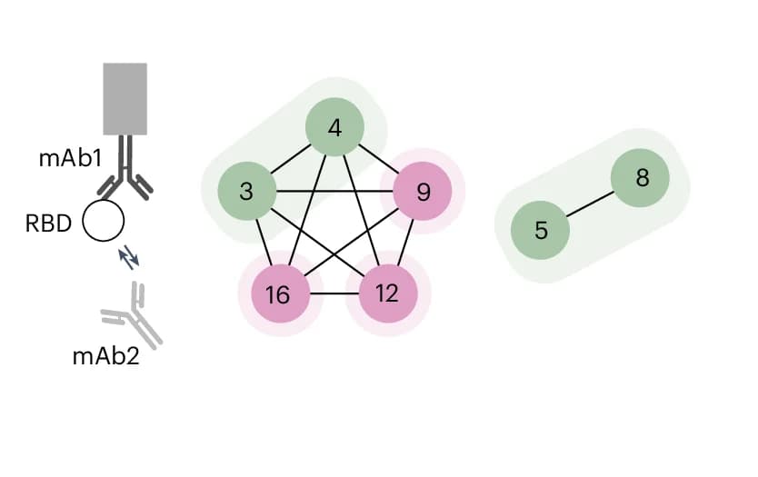 Open access visualization of Network, Pathway, Illustration, Epitope Binning, Antibody