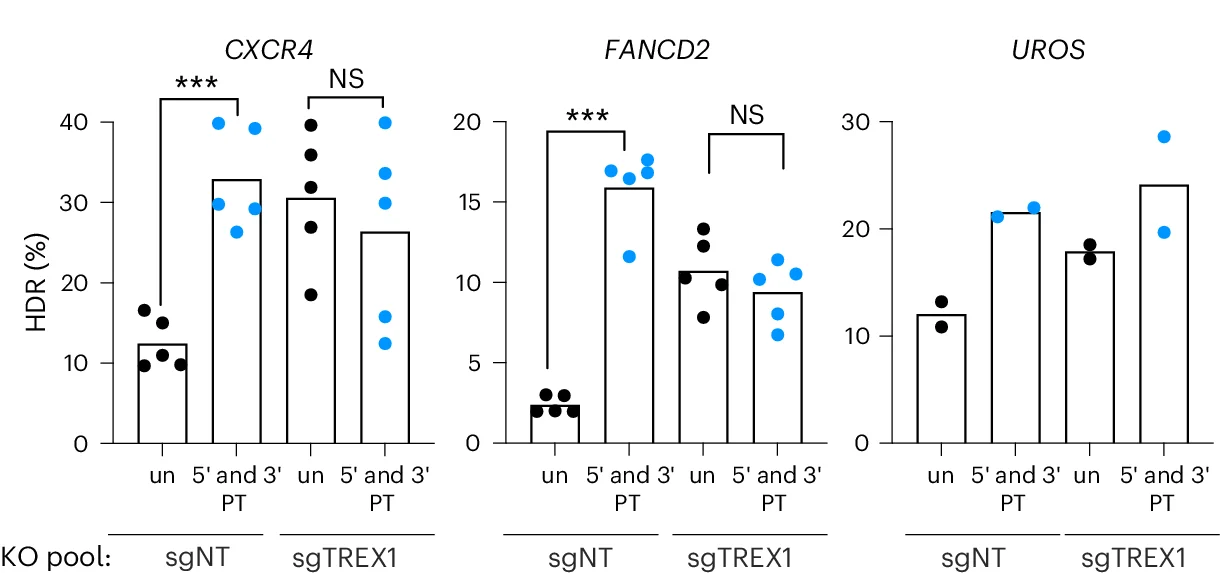 Open access visualization of Bar Plot, Scatter Plot, TREX1, T Cells, CRISPR-Cas9