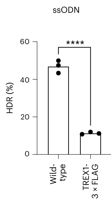Open access visualization of Bar Plot, Error Bars, TREX1 Overexpression, CRISPR-Cas9, HDR
