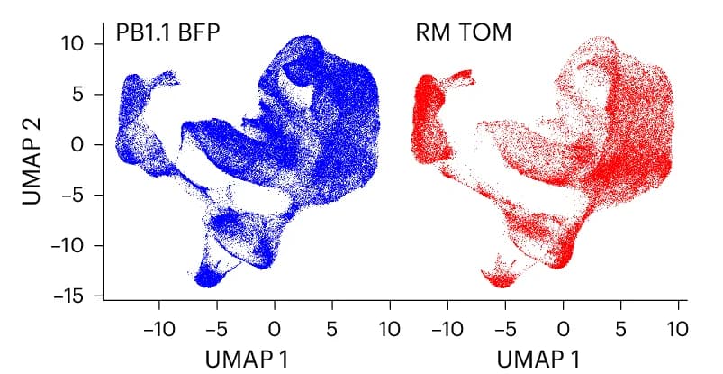 Open access visualization of Scatter Plot, UMAP, Integrated Samples, Cell Lines