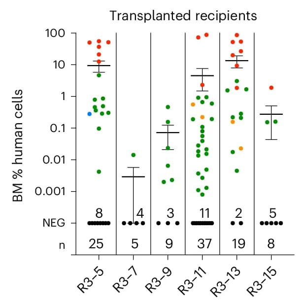 Open access visualization of Scatter Plot, Error Bars, Scatter Dot Plot, Human Cells, Bone Marrow
