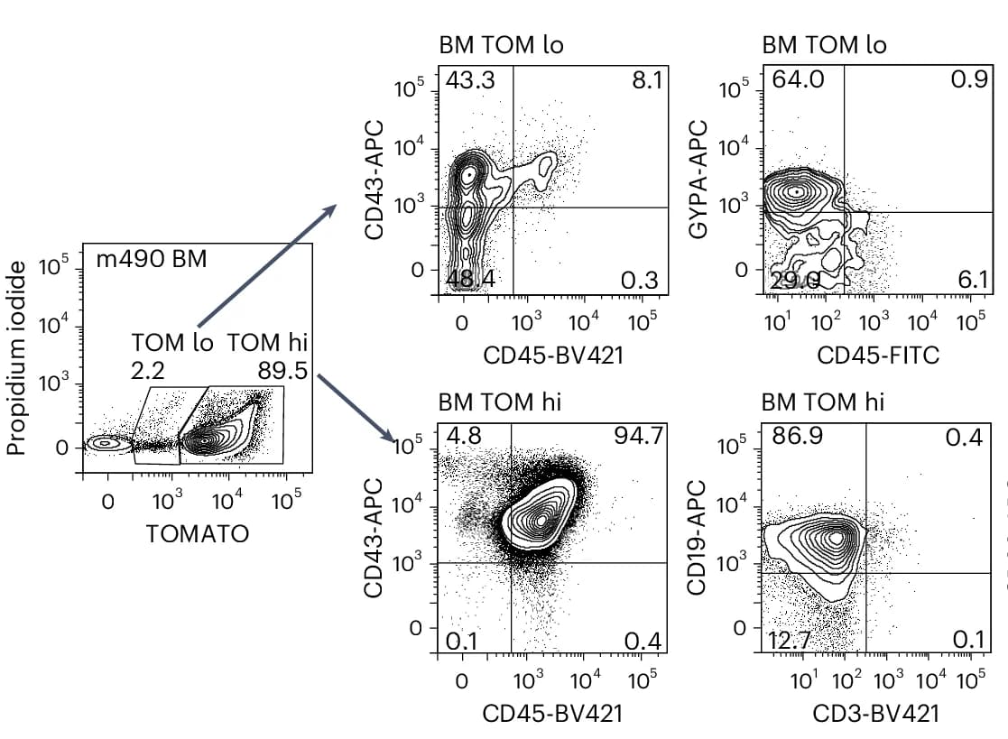 Open access visualization of Scatter Plot, Flow Cytometry, Bone Marrow, Erythroid Cells, B Cells