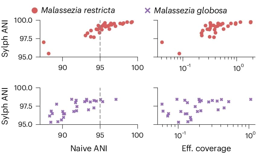 Open access visualization of Scatter Plot, Fungal Species, Skin Samples, Average Nucleotide Identity