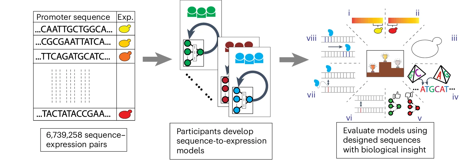Open access visualization of Workflow, Illustration, Training Dataset, Promoters, Expression Values