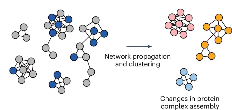 Open access visualization of Network, Pathway, Network Analysis, Interactome Dynamics, PPIs