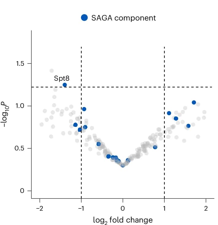 Open access visualization of Volcano Plot, Scatter Plot, Differential Abundance Analysis, Proteins, Coimmunoprecipitation