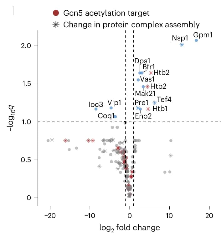 Open access visualization of Volcano Plot, Scatter Plot, Differential Abundance, Acetylated Peptides, Yeast