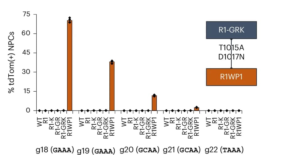 Open access visualization of Bar Plot, Error Bars, Workflow, PAM Specificity, GeoCas9 PI Domain
