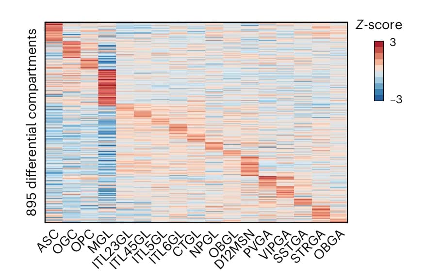 Open access visualization of Heatmap, Compartment Scores, Cell Types