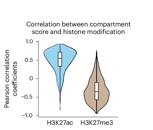 Open access visualization of Violin Plot, Box Plot, Pearson Correlation Coefficients, Compartment Scores, Histone Modification Signals
