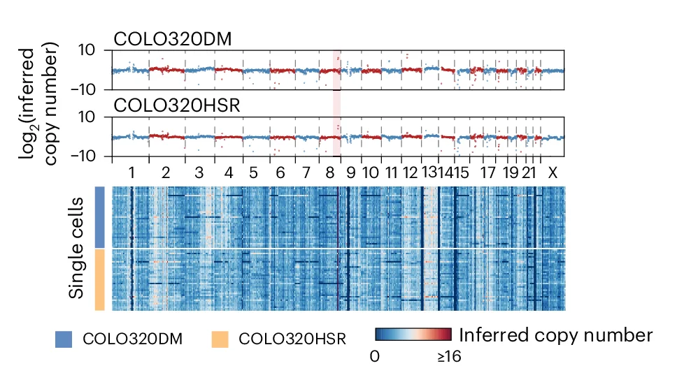Open access visualization of Heatmap, Line Plot, Scatter Plot, DNA Copy Numbers, Droplet Hi-C