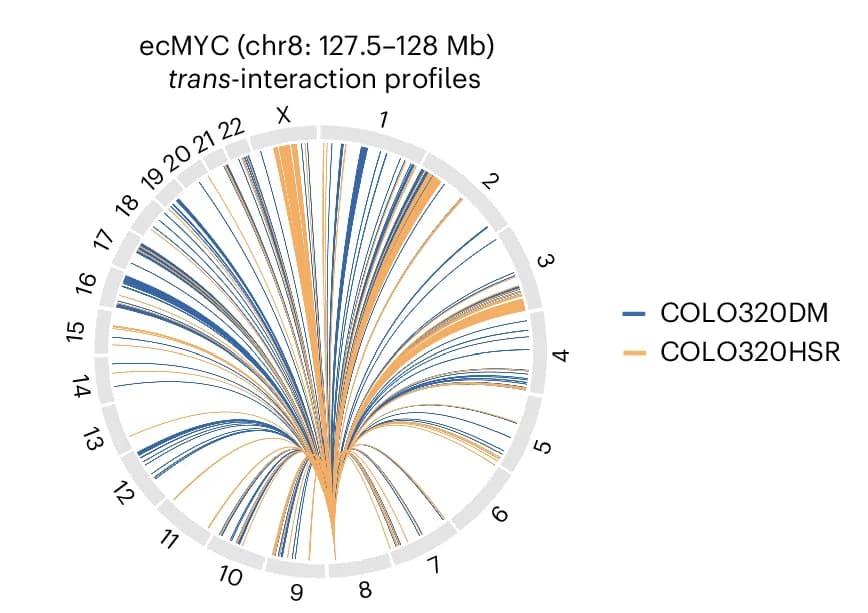Open access visualization of Chord, Circos Plot, Trans-interaction Profiles, Genomic Bin, MYC