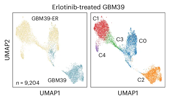 Open access visualization of UMAP, Scatter Plot, UMAP Embedding, Clustering Analysis, Droplet Hi-C Data