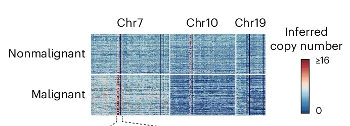 Open access visualization of Heatmap, Single-Cell CNVs, Droplet Hi-C, Malignant Populations, Nonmalignant Populations