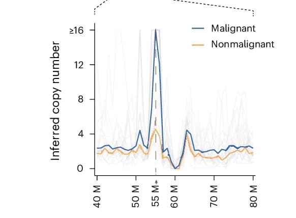 Open access visualization of Line Plot, Copy Number, Malignant Populations, Nonmalignant Populations, Single Cells