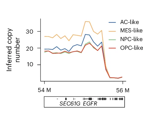Open access visualization of Line Plot, Copy Number, ecEGFR, GBM Cellular States
