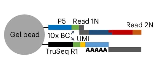 Open access visualization of Workflow, Illustration, Paired Hi-C, Molecule Barcoding, 10x Genomics Multiome Kit