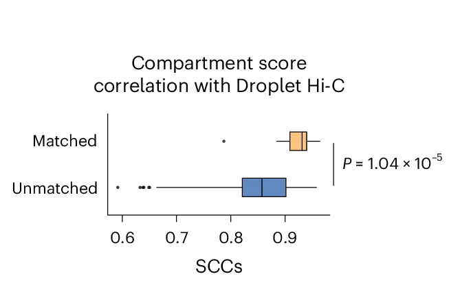 Open access visualization of Box Plot, Box Plots, SCCs, Compartment Scores, Cell Types