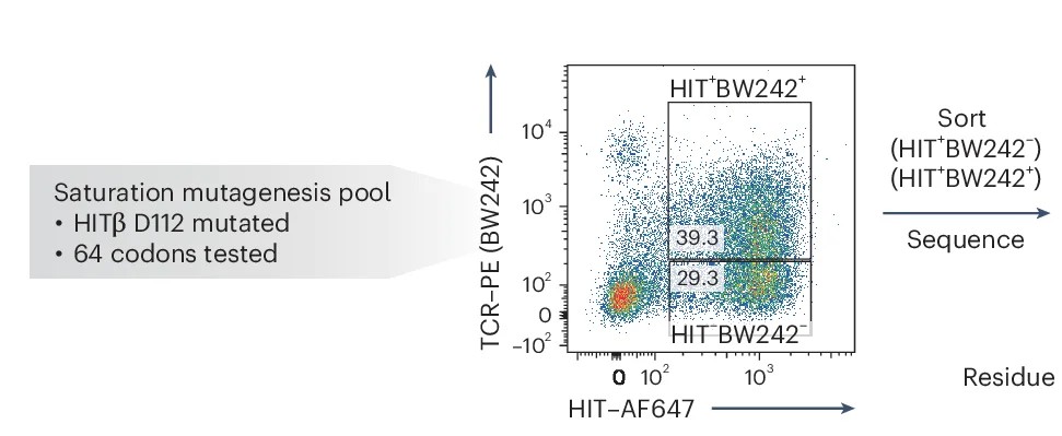 Open access visualization of Scatter Plot, Workflow, Flow Cytometry, BW242, HIT