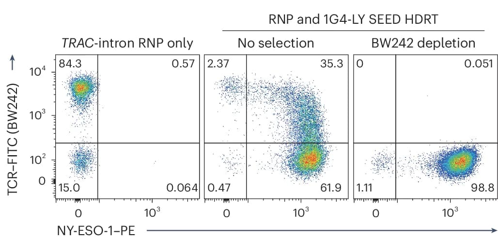 Open access visualization of Scatter Plot, T Cells, 1G4-LY SEED, M3814, BW242