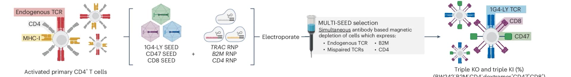 Open access visualization of Workflow, Flowchart, Illustration, Multiplexed Editing, Enrichment